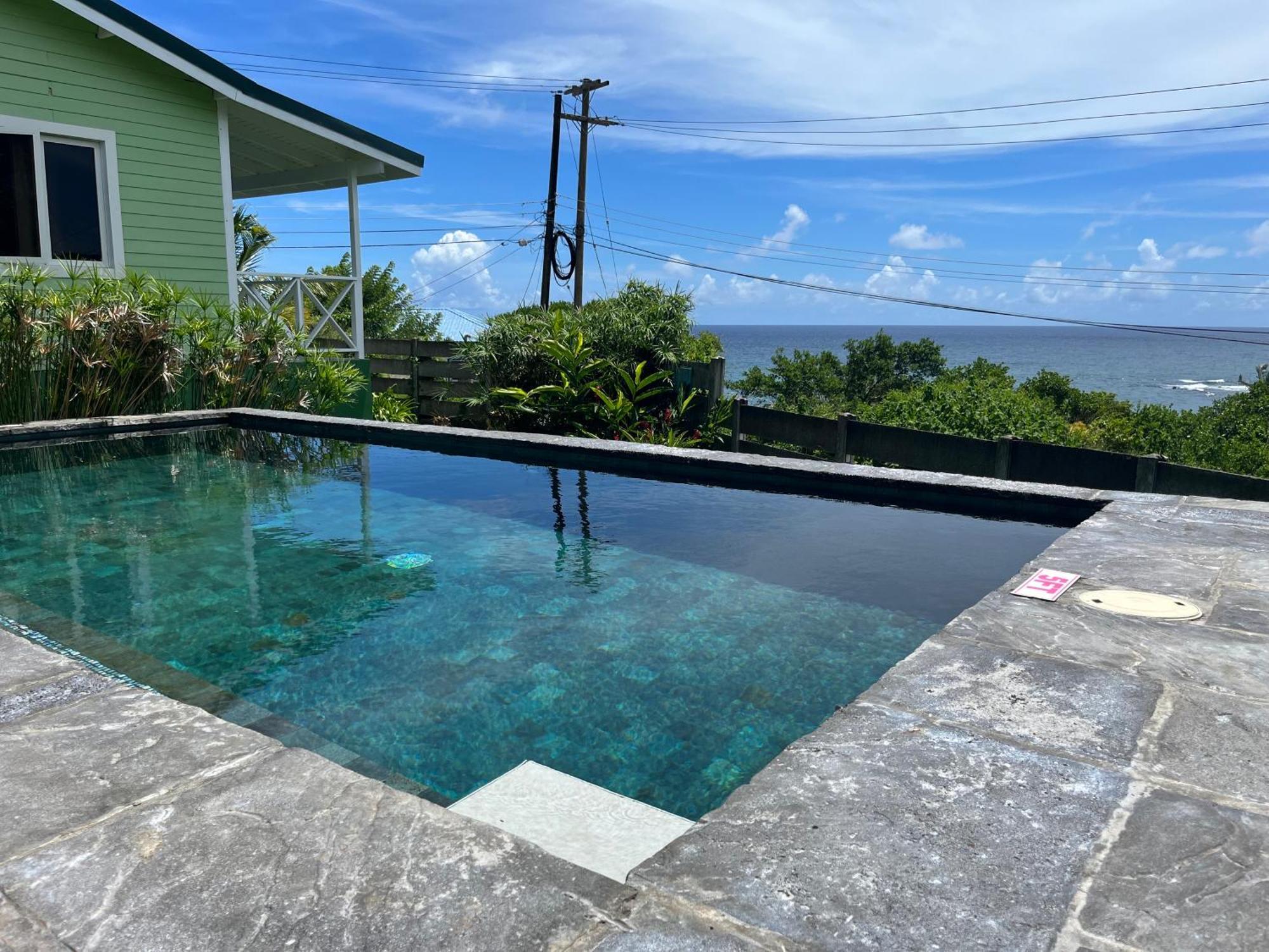 Studio Blu At Waves Villa Guesthouse Brighton Village Экстерьер фото